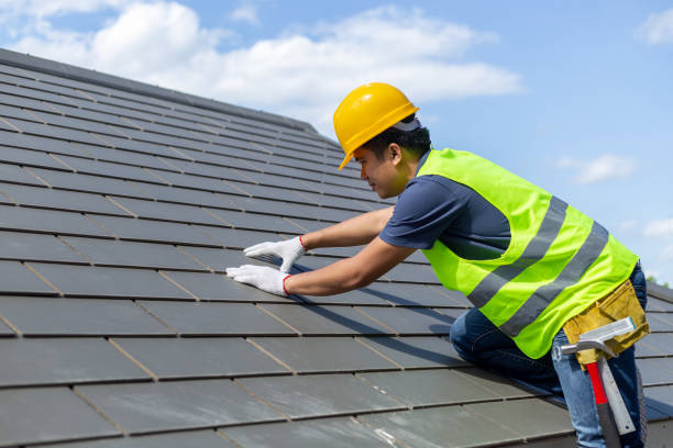 Best Solar Panel Roofing Installation  in Wesson, MS